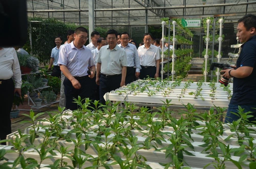 科技助農，播撒光的種子  精準扶貧，助力鄉(xiāng)村振興